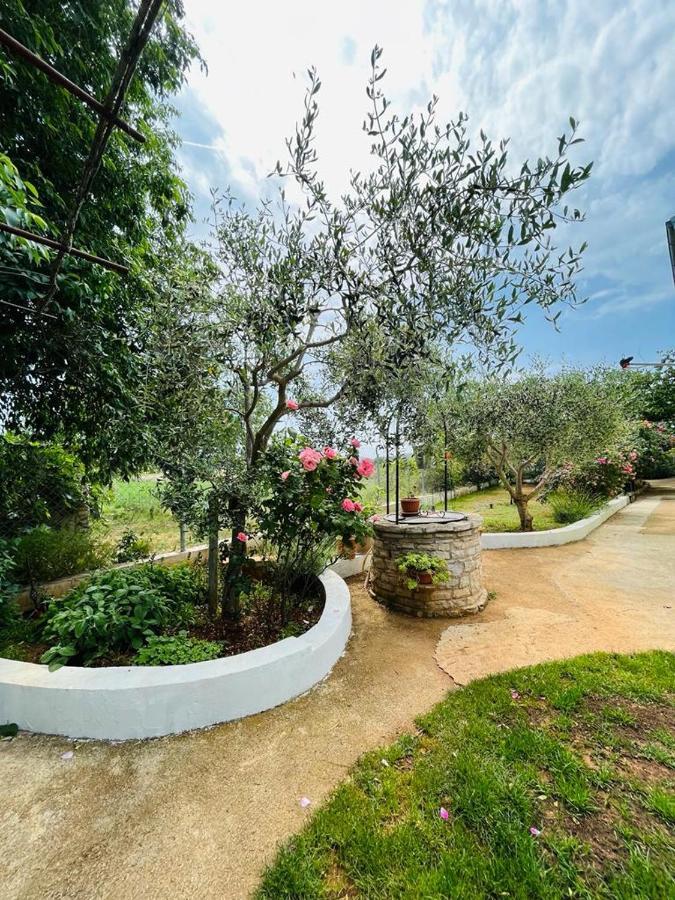 Pomerino Apartmans מראה חיצוני תמונה